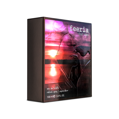 Чоловіча туалетна вода «Feeria For Man», 100 мл