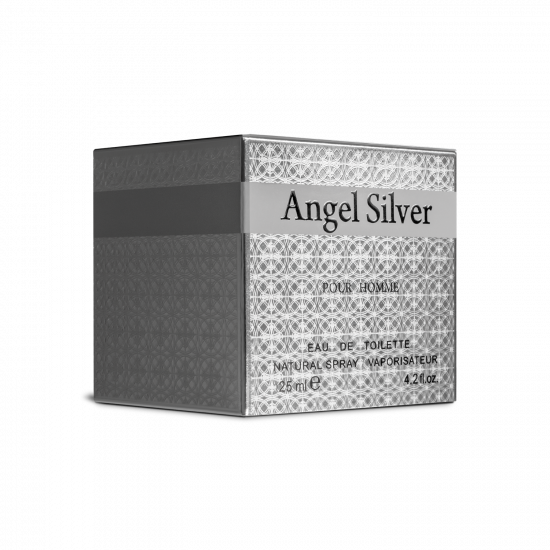 Чоловіча туалетна вода «Angel Silver», 135 мл